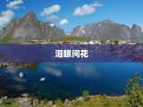 泪眼问花