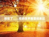 别忘了……你的世界我曾经来过