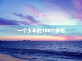 一个少年的108个梦想