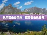 秋风西去冬风来，愿等冬去桃花开