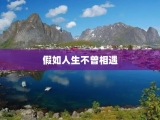 假如人生不曾相遇