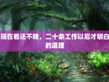 现在看还不晚，二十条工作以后才明白的道理