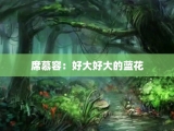 席慕容：好大好大的蓝花