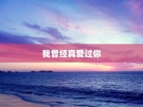 我曾经真爱过你