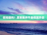 你知道吗？原来我并不舍得放开你