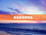 爱因感觉而存在