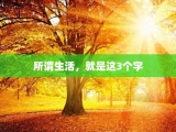 所谓生活，就是这3个字