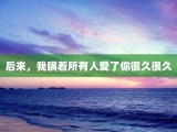 后来，我瞒着所有人爱了你很久很久