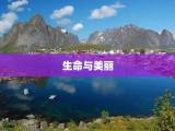 生命与美丽