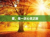 爱，是一次心灵之旅