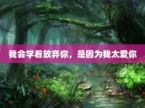 我会学着放弃你，是因为我太爱你