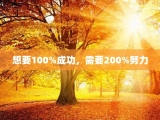 想要100%成功，需要200%努力