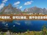 不如意时，你可以奋起，而不仅仅是愤恨