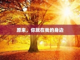 原来，你就在我的身边
