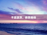 不愿放弃，依然等待