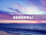 你敢拖延梦想么？