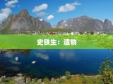 史铁生：遗物