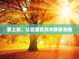 爱上你，让寂寞在风中静静沸腾