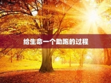 给生命一个助跑的过程
