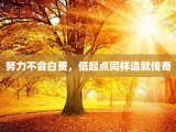 努力不会白费，低起点同样造就传奇