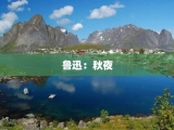 鲁迅：秋夜