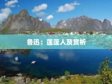 鲁迅：莲蓬人及赏析