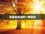 后退是前进的一种姿式