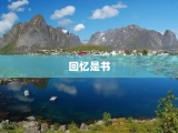 回忆是书