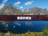 美丽的感动