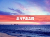 走与不走之间
