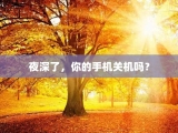 夜深了，你的手机关机吗？