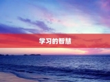 学习的智慧