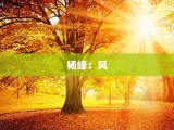 杨绛：风