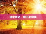 追求成功，但不必完美