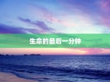 生命的最后一分钟