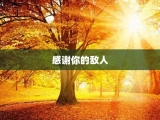 感谢你的敌人