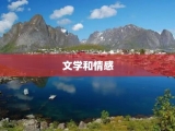 文学和情感