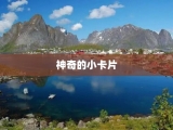 神奇的小卡片