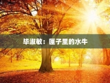 毕淑敏：匣子里的水牛