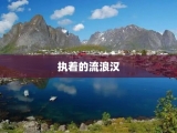 执着的流浪汉