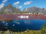 一碗白饭