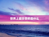 世界上最珍贵的是什么