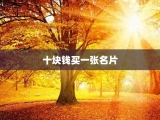 十块钱买一张名片