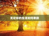无论你的生活如何卑微