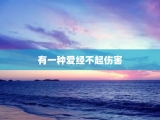 有一种爱经不起伤害