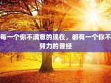 每一个你不满意的现在，都有一个你不努力的曾经