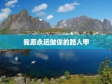 我愿永远做你的路人甲
