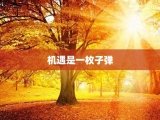 机遇是一枚子弹