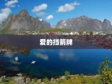 爱的挡箭牌