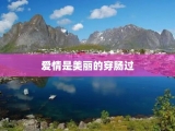 爱情是美丽的穿肠过